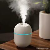 Egg Shape Mini Humidifier USB Night Light Cool Mist 220ml