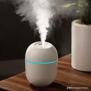 Egg Shape Mini Humidifier USB Night Light Cool Mist 220ml