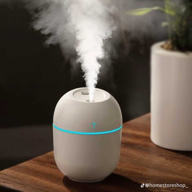 Egg Shape Mini Humidifier USB Night Light Cool Mist 220ml