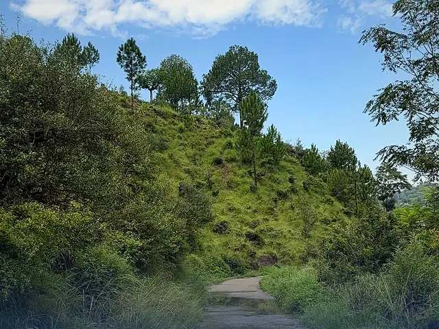 A scenic mountain pathway through the hills of Abbottabad
