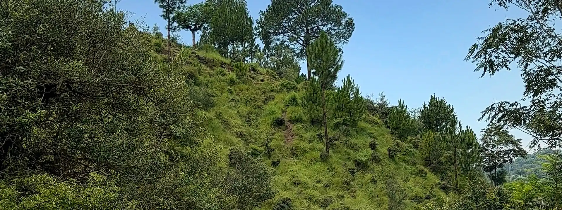 A scenic mountain pathway through the hills of Abbottabad