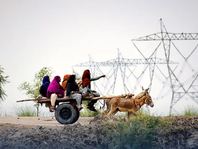 A donkey cart on a dirt track in rural Sindh