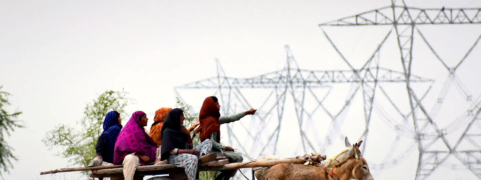 A donkey cart on a dirt track in rural Sindh