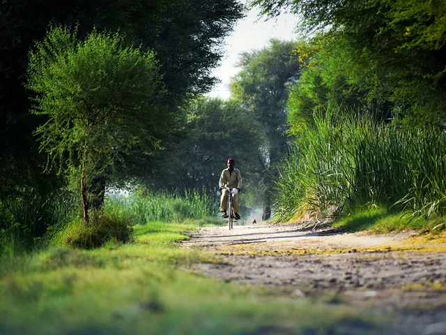 A cyclist riding along a road through rural Sindh
