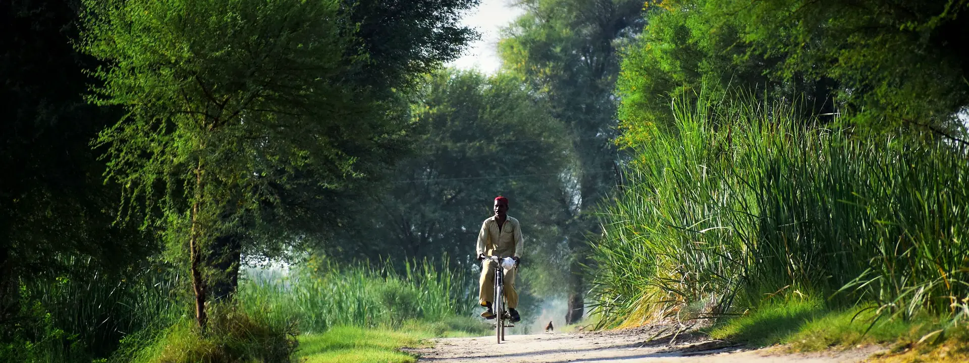 A cyclist riding along a road through rural Sindh