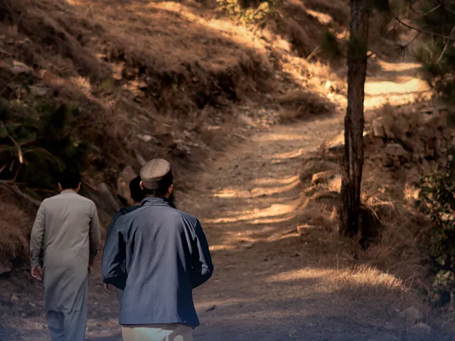 Two walkers on a sunlit trail through the hills of Mansehra