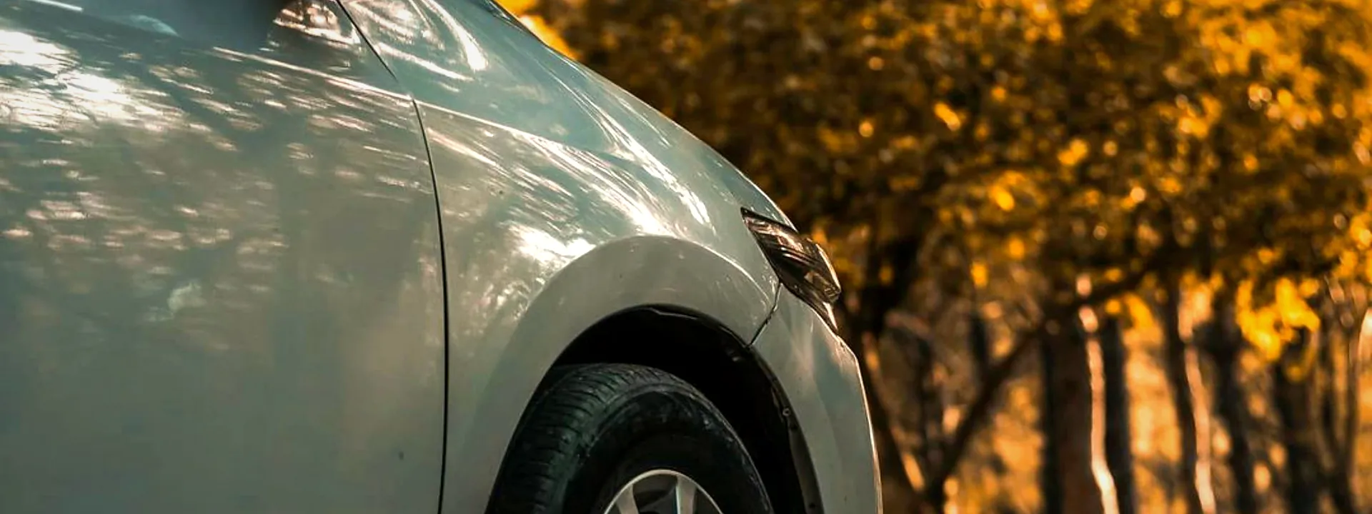 A white car parked among autumn trees in Mardan