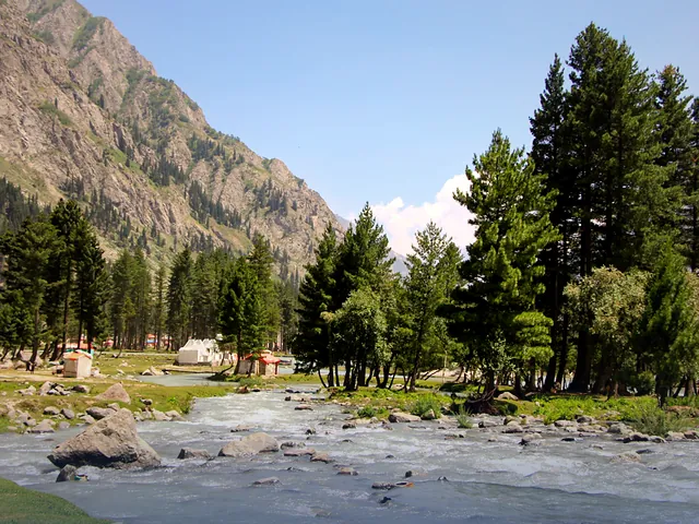 A river flowing through green forest and mountains in Swat Valley