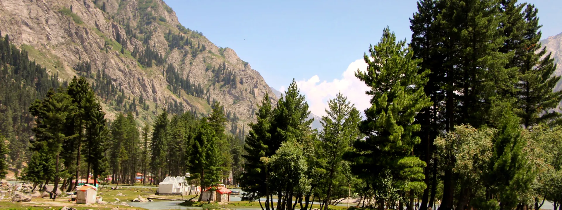 A river flowing through green forest and mountains in Swat Valley