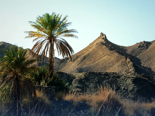 A palm oasis surrounded by rocky mountains in Turbat