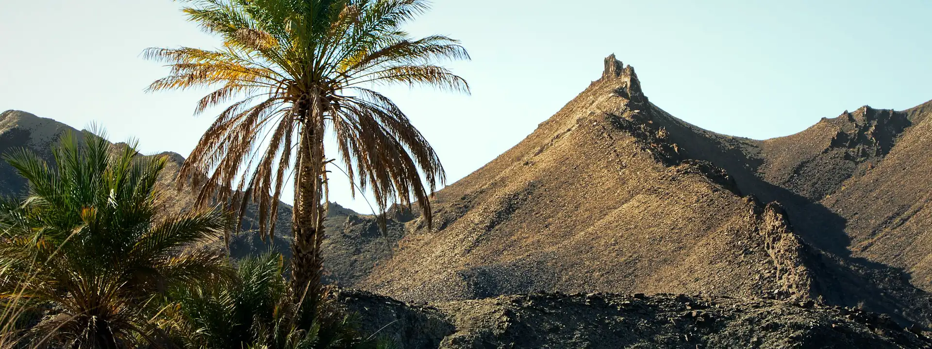 A palm oasis surrounded by rocky mountains in Turbat