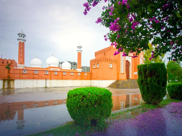 A mosque in Wah Cantt surrounded by purple flowers