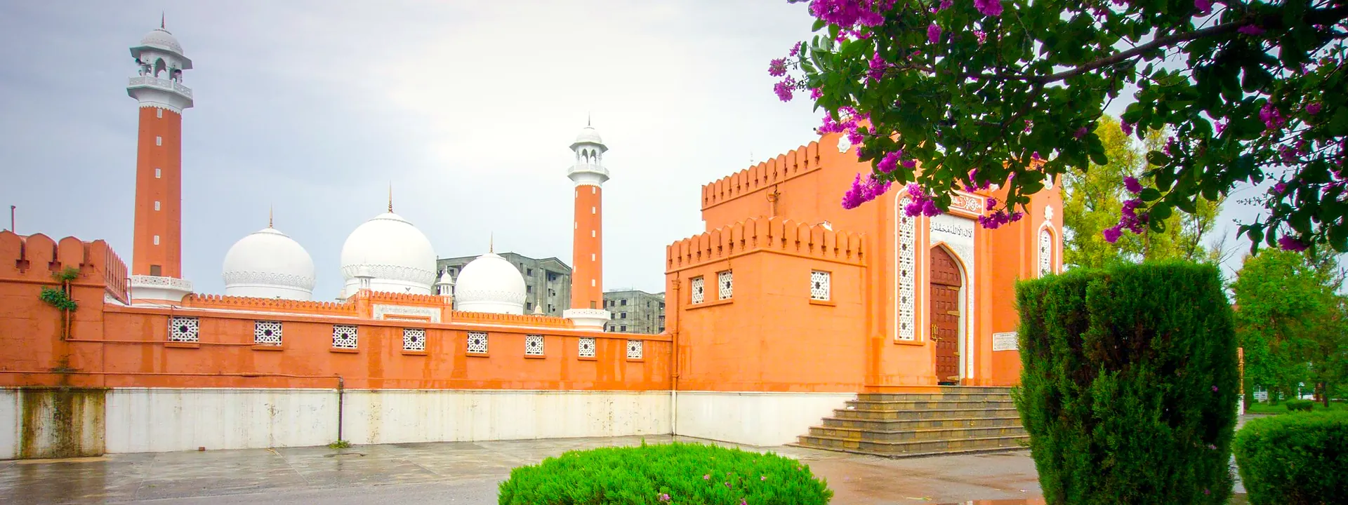 A mosque in Wah Cantt surrounded by purple flowers