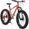 26 inch fat tire bike side view